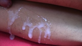 Delicias Cremosas en Cada Paso – Alex CUM